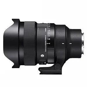 Sigma 15mm f/1.4 Fisheye DG DN Art Lens for Sony E Mount Mirrorless Camera Lens