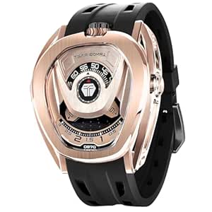 LUXURY WATCH LOOT
