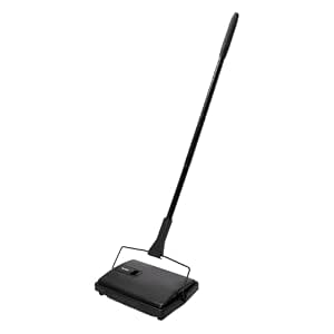 AGARO Delite Manual Carpet Cleaner for Pet Hair Rugs Mattresses – No Batteries,...
