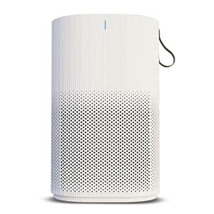 Eureka Forbes air purifier